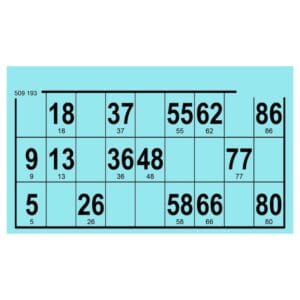 Bingokaart 90 karton 1 ticket blauw