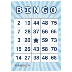 Bingokaarten 75 karton blauw