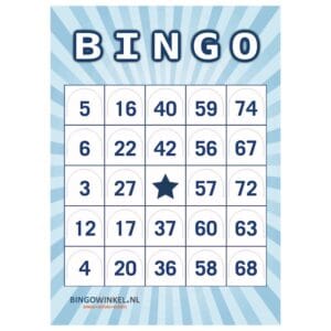 Bingokaarten 75 karton blauw push-out