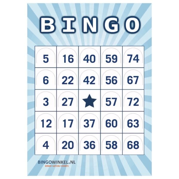 Bingokaarten 75 karton blauw push-out