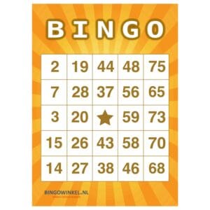 Bingokaarten 75 karton oranje