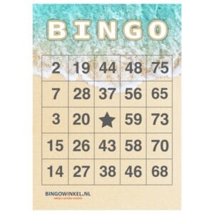 Bingokaarten 75 karton strand